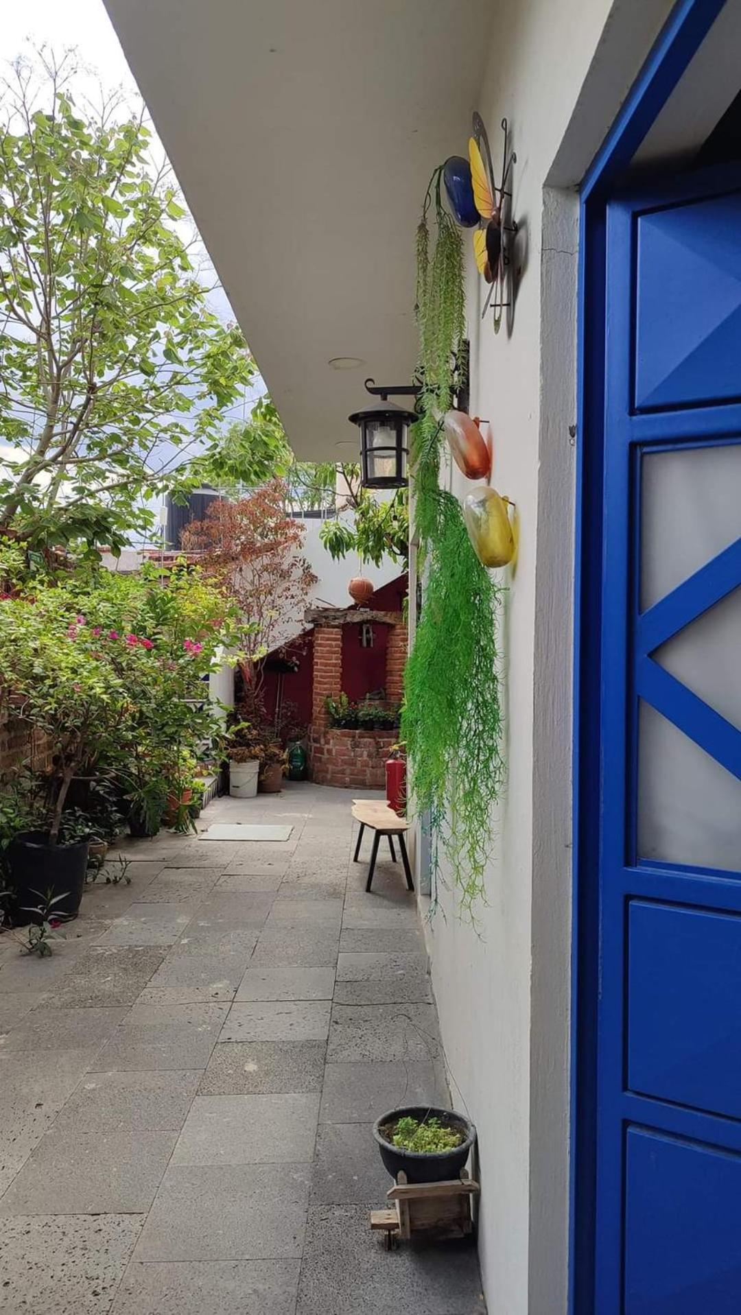 Hostal Casa Morada Cocula  외부 사진